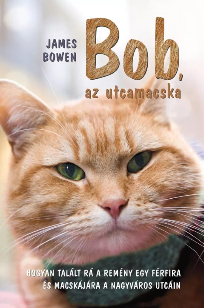 Bob, az utcamacska borító