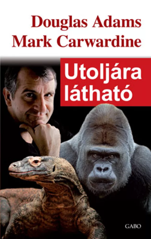 Utoljára látható borító
