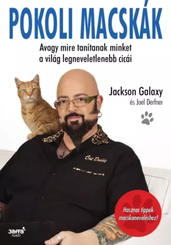Pokoli macskák borító