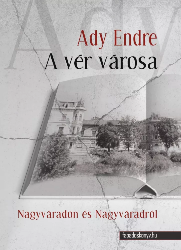 A vér városa borító