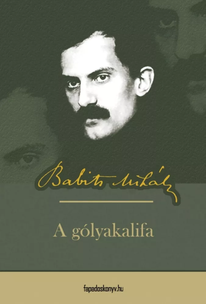 A gólyakalifa borító