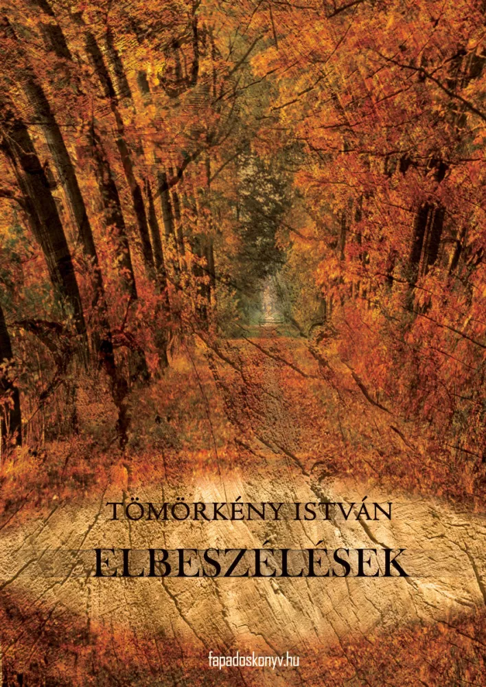 Elbeszélések borító