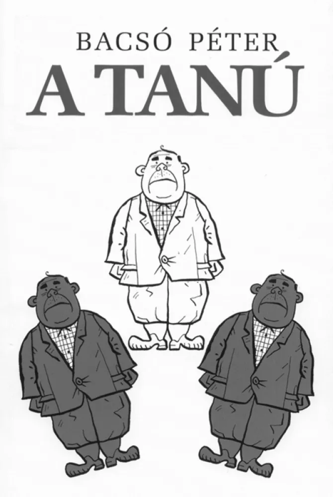 A tanú borító