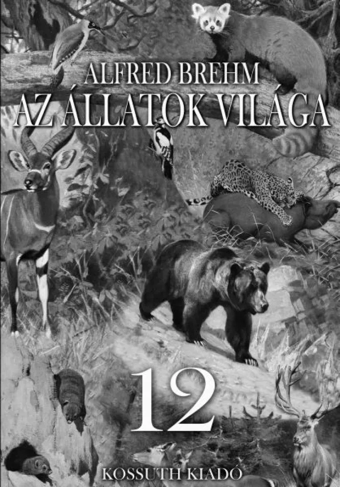 Az állatok világa 12. kötet borító