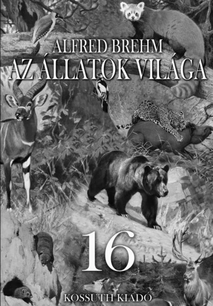 Az állatok világa 16. kötet borító