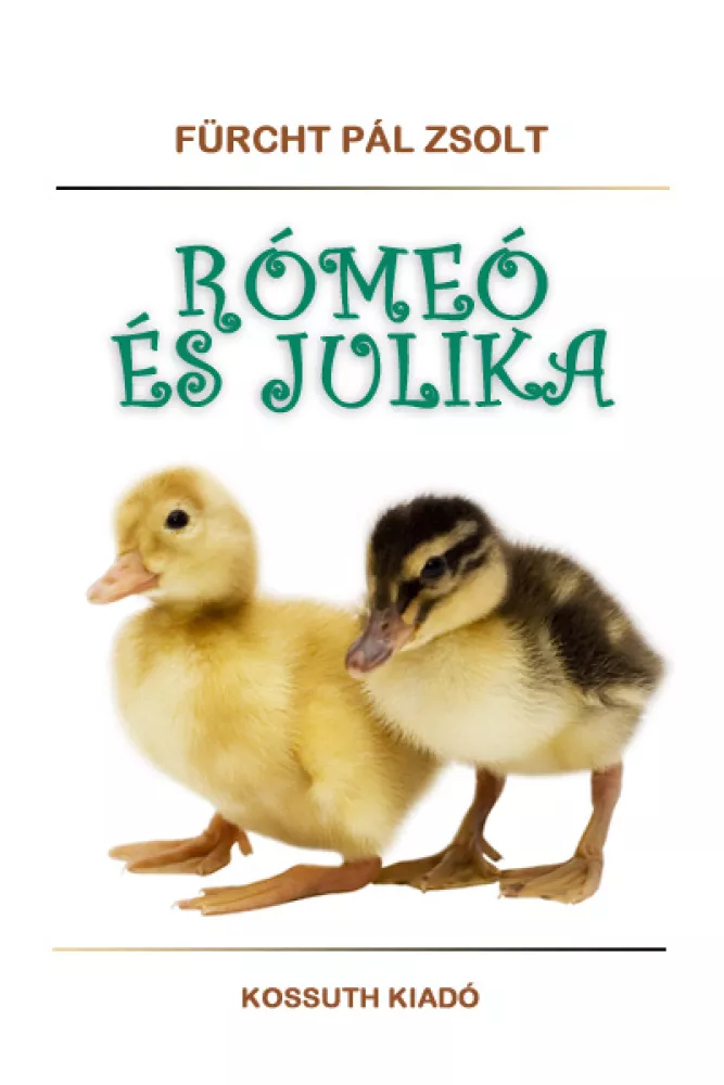 Rómeó és Julika borító