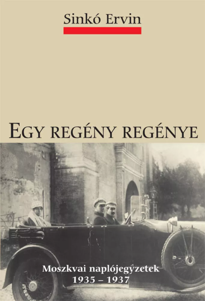Egy regény regénye borító
