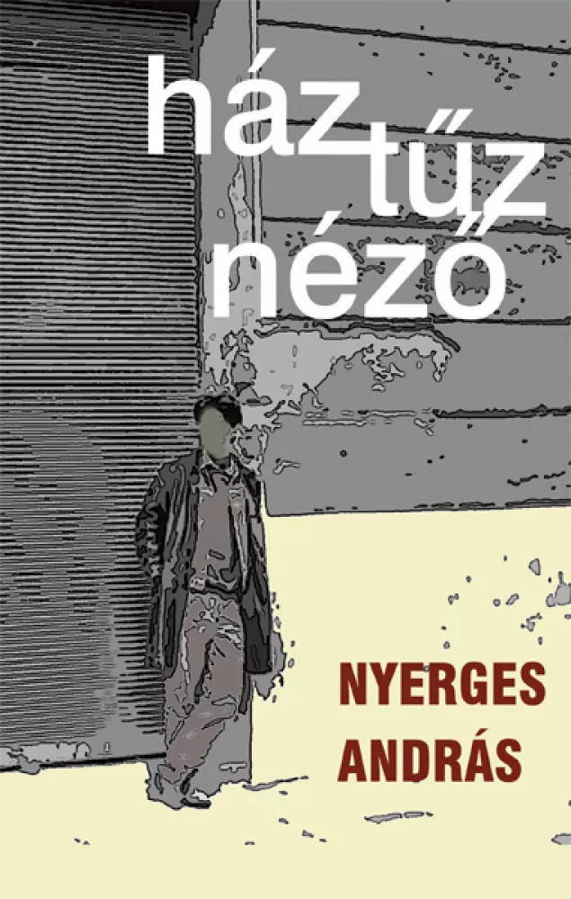 Háztűznéző borító