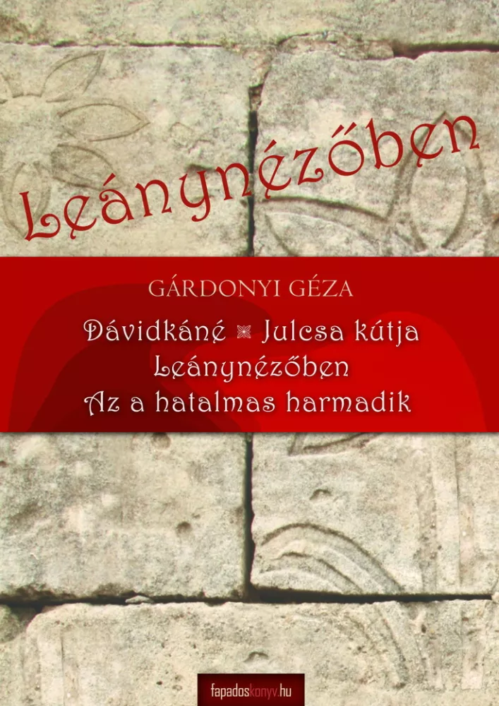 Leánynézőben borító