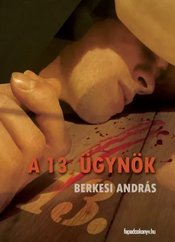 A 13. ügynök