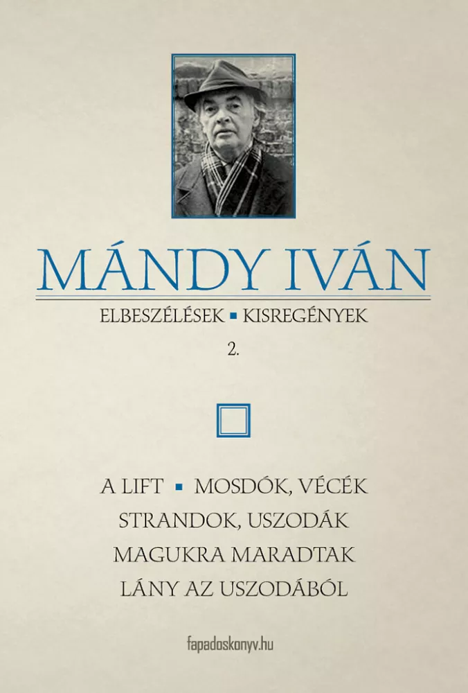 Elbeszélések, kisregények II. borító