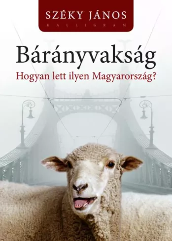 Bárányvakság borító