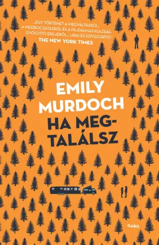 Ha megtalálsz borító
