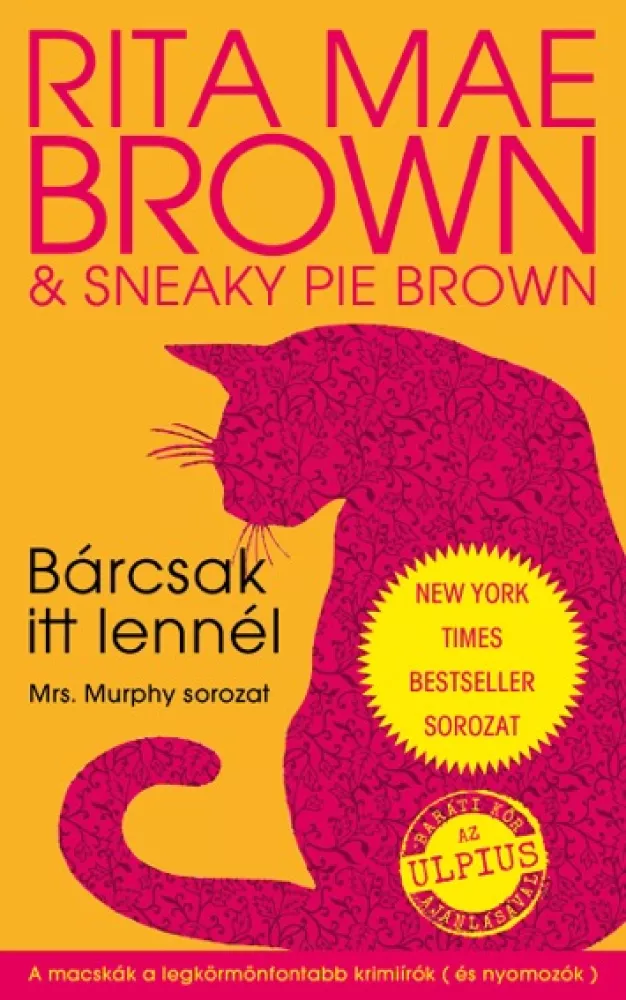 Bárcsak itt lennél borító