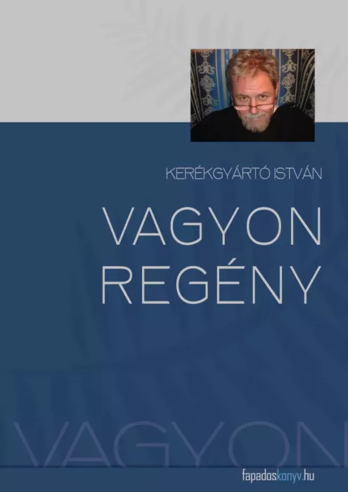 Vagyonregény borító