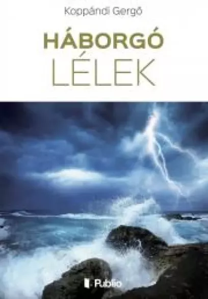 Háborgó lélek borító