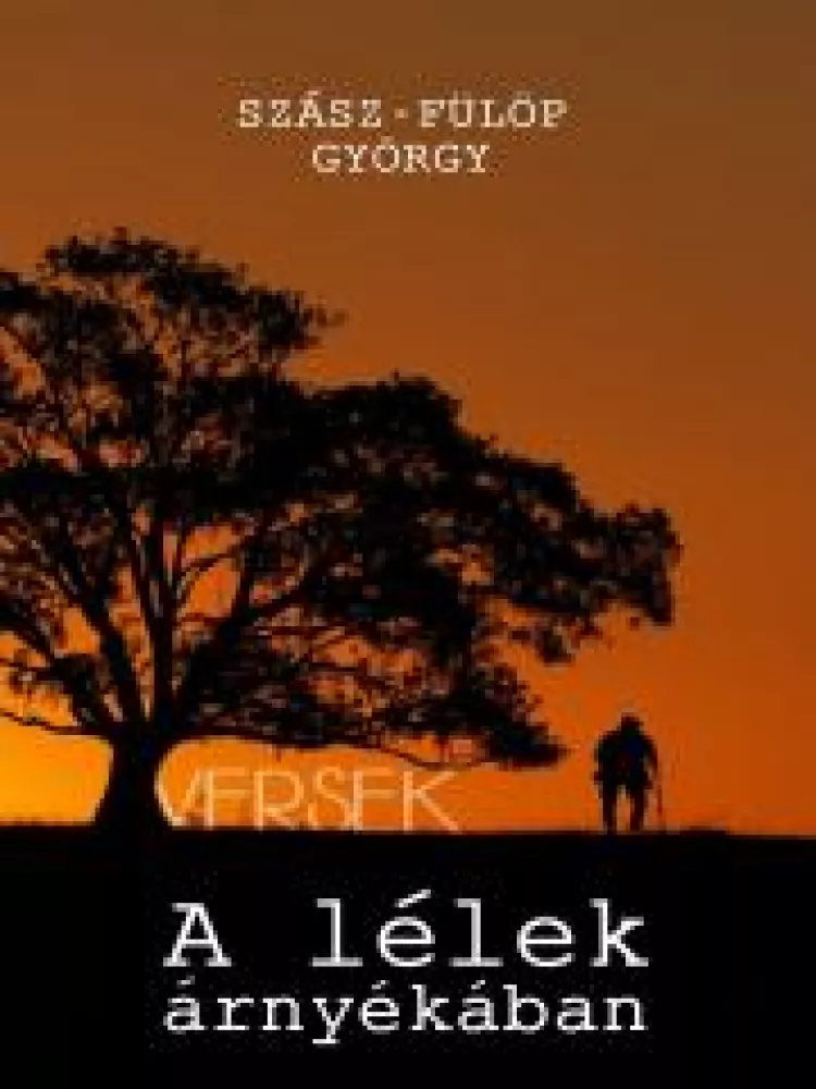 A lélek árnyékában borító
