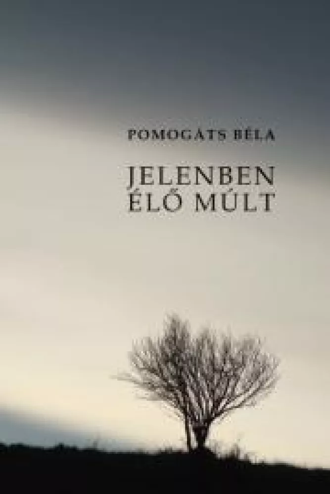 Jelenben élő múlt borító