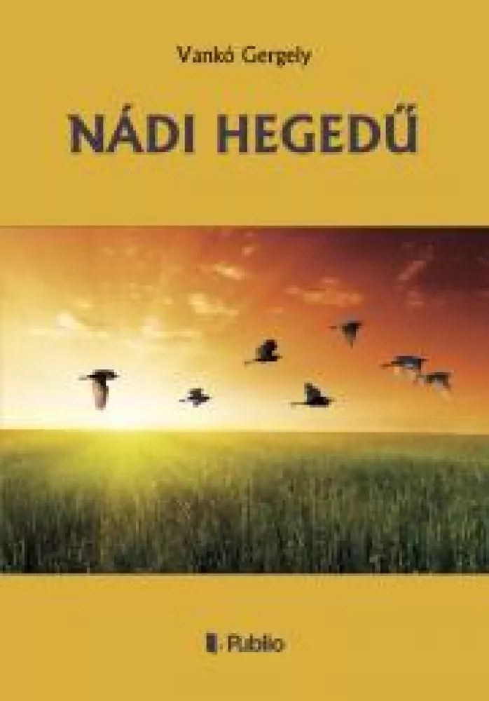 NÁDI HEGEDŰ borító