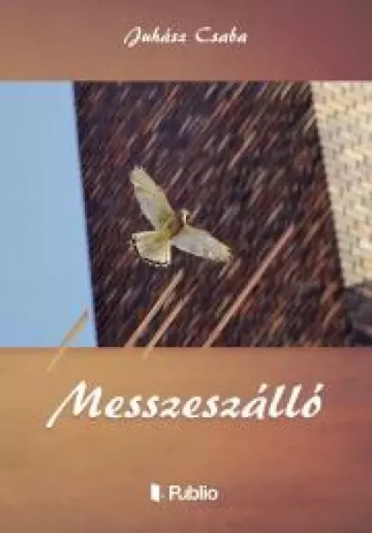 MESSZESZÁLLÓ borító