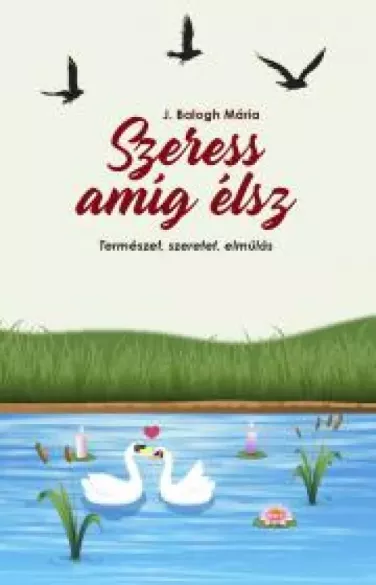 Szeress amíg élsz borító
