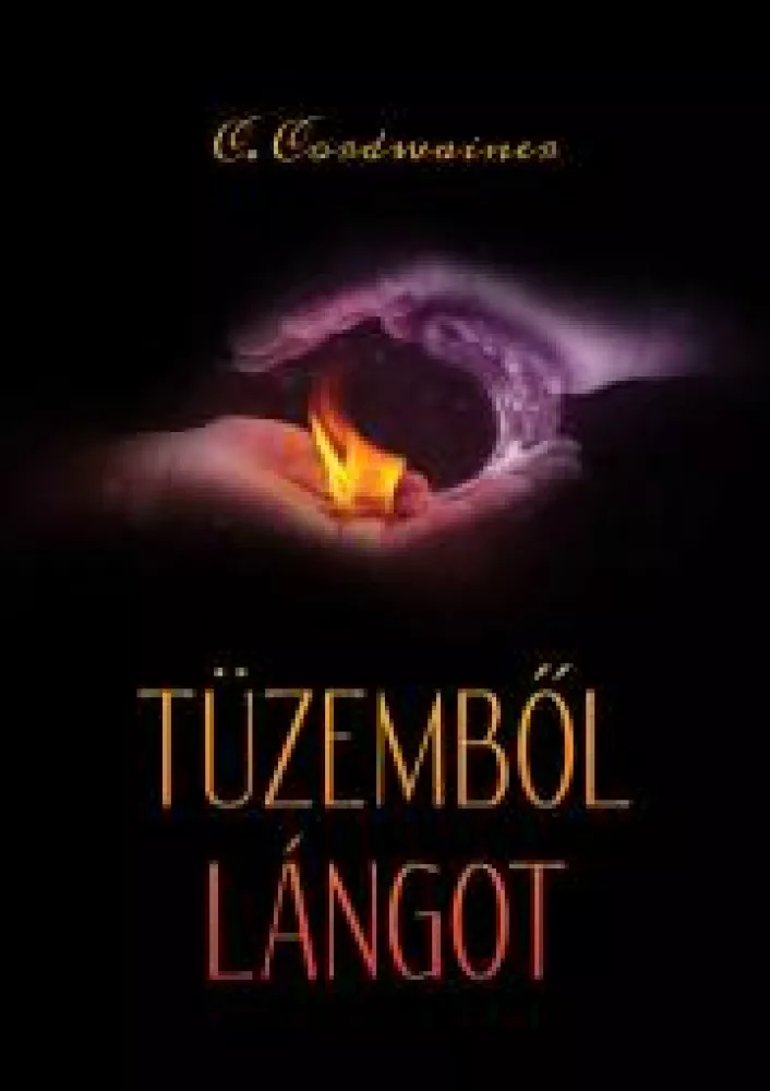 Tüzemből lángot borító