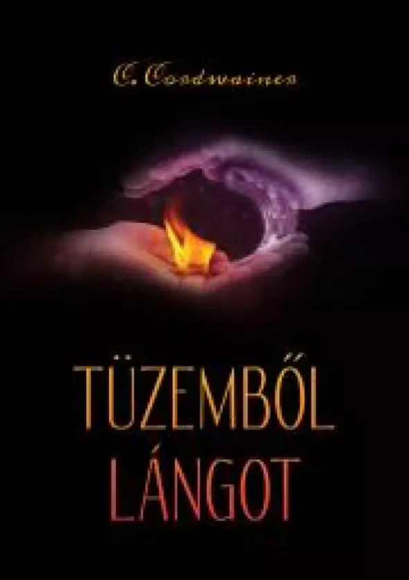Tüzemből lángot borító