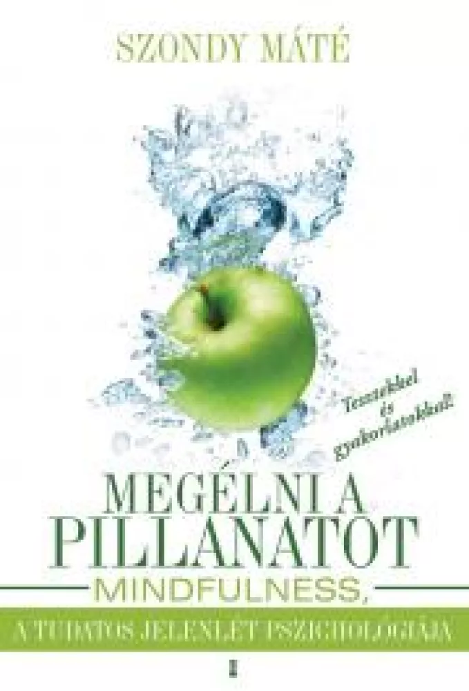 Megélni a pillanatot borító