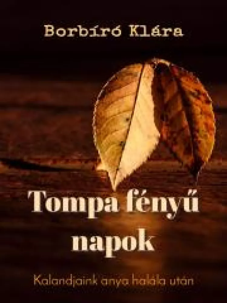 Tompa fényű napok borító