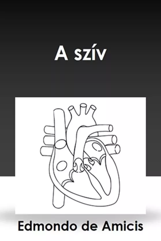 A szív borító