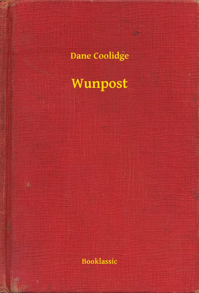 Wunpost borító