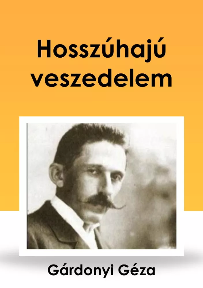 Hosszúhajú veszedelem borító