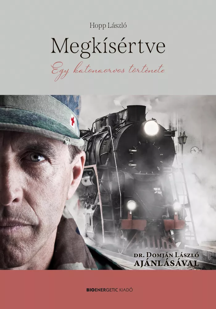 Megkísértve borító