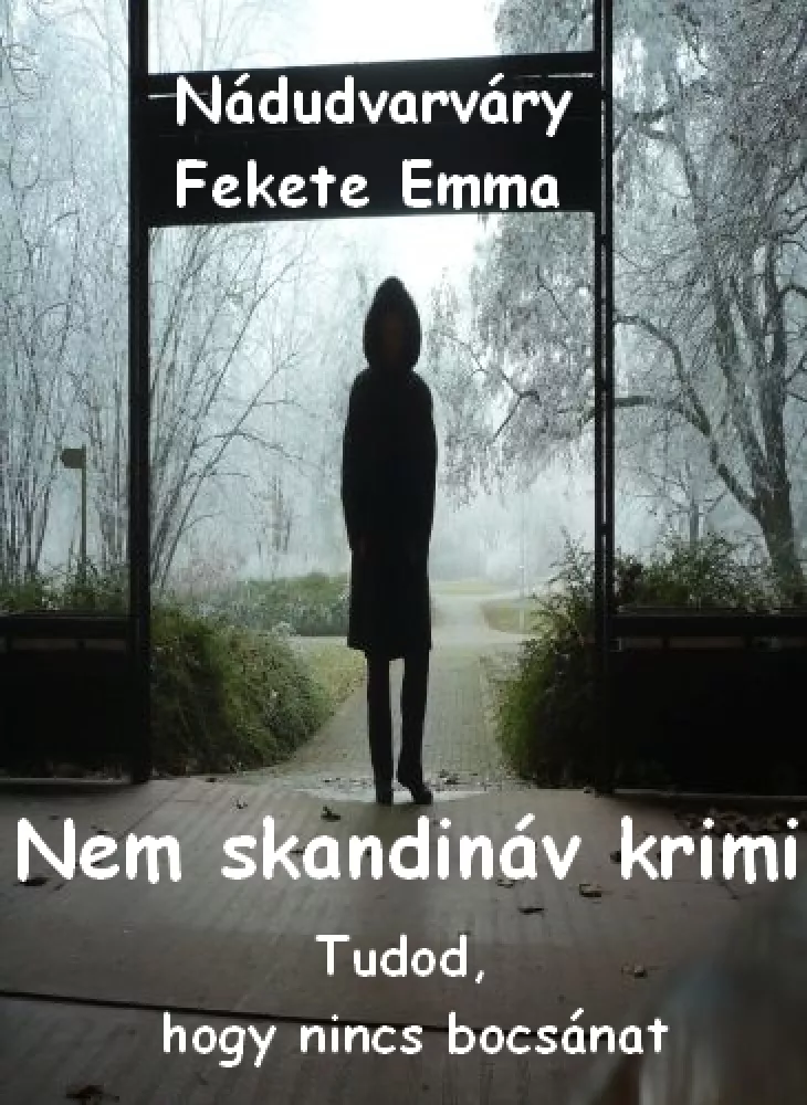 Nem skandináv krimi borító