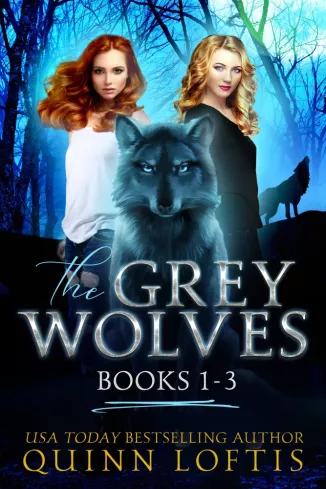 The Grey Wolves Series Collection Books 1-3 borító