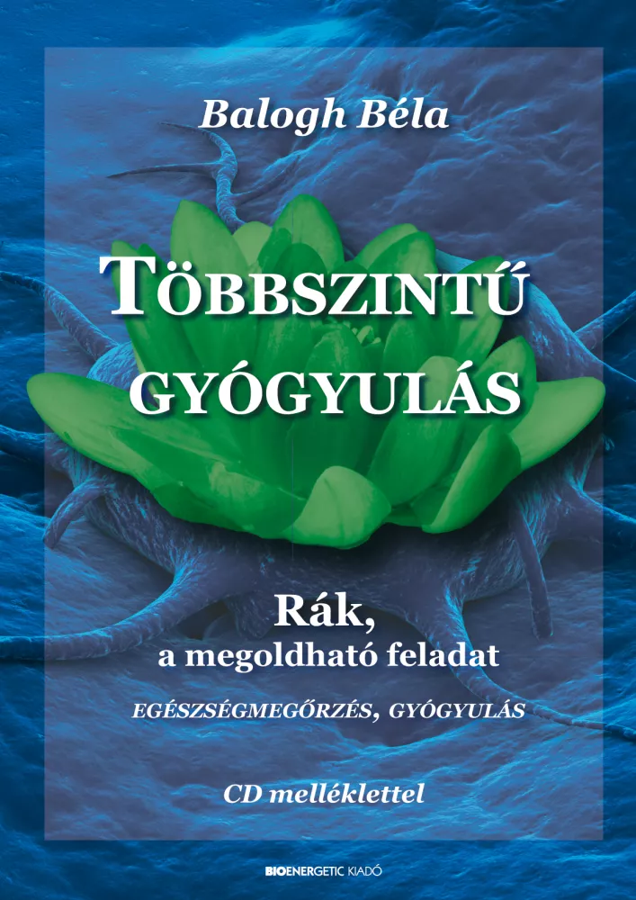Többszintű gyógyulás borító