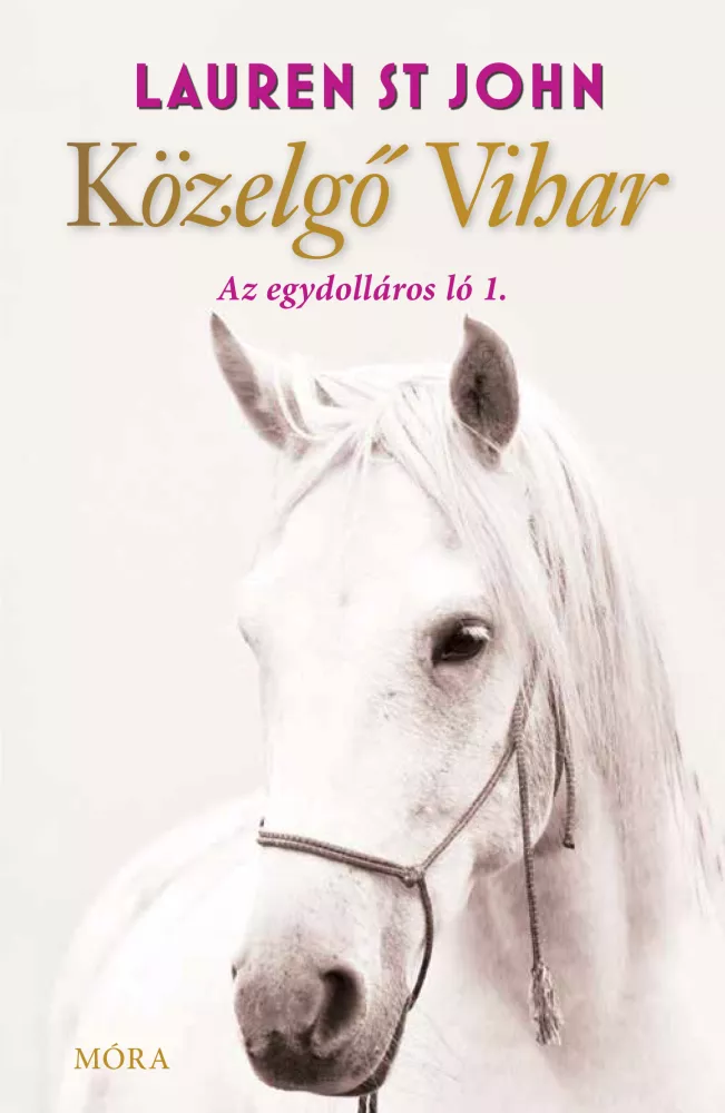 Közelgő vihar borító
