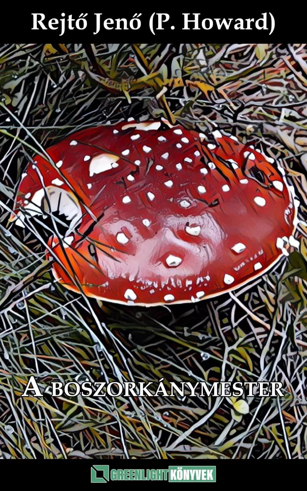 A boszorkánymester borító