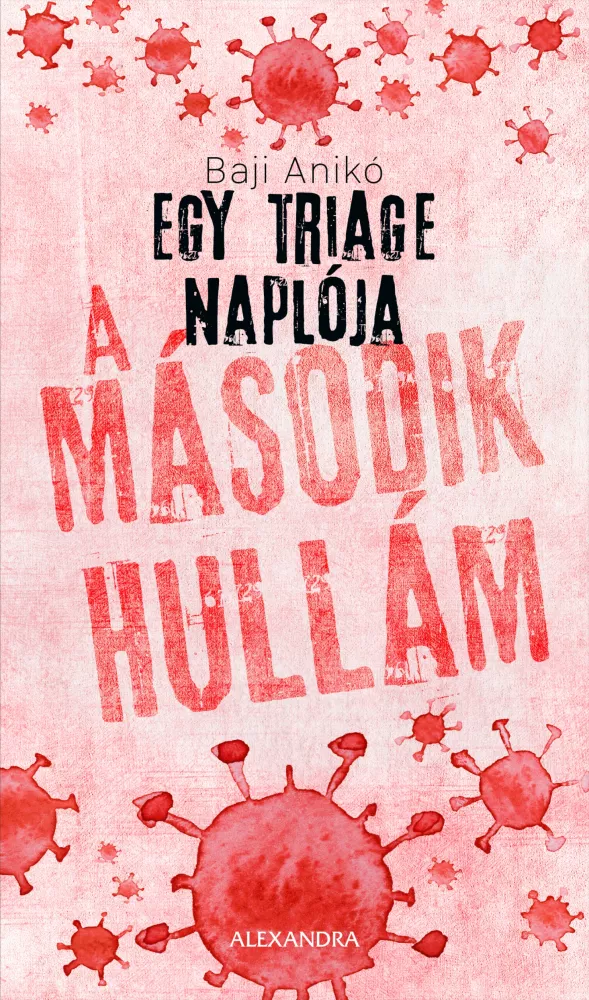 A második hullám borító