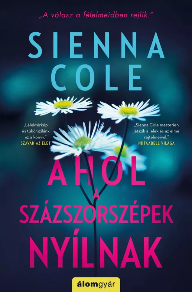 Ahol a százszorszépek nyílnak borító