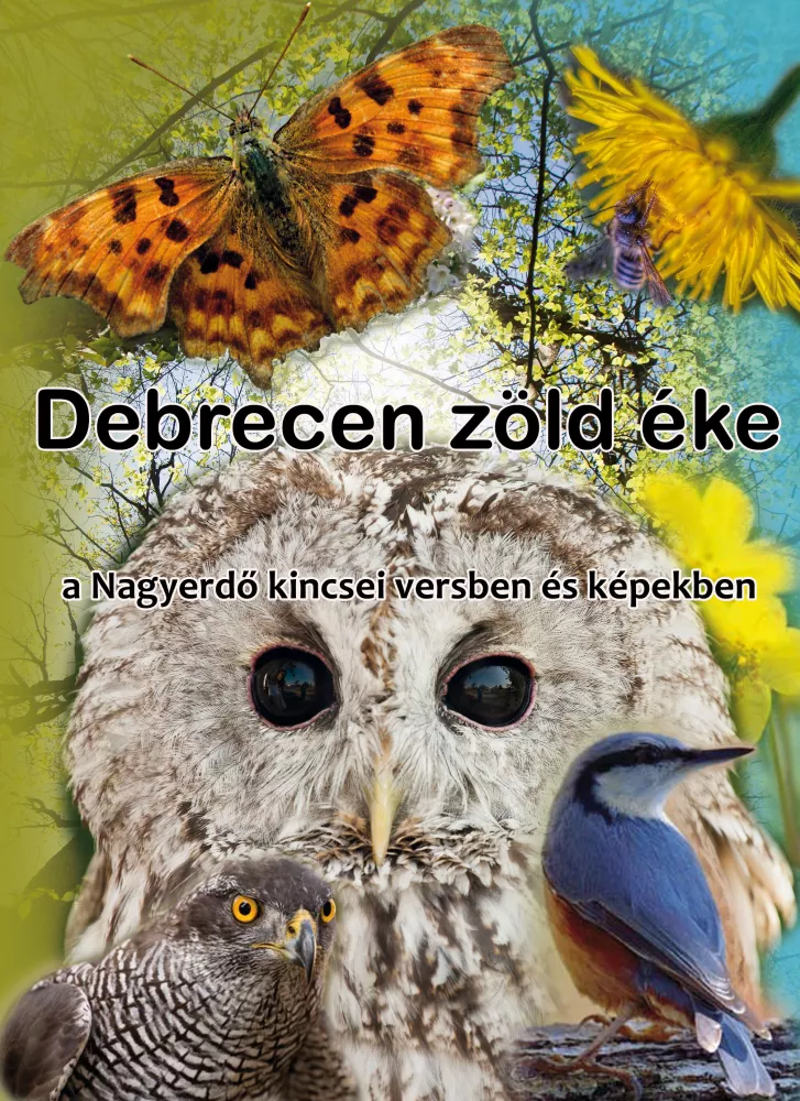 Debrecen zöld éke (The Great Forest) borító