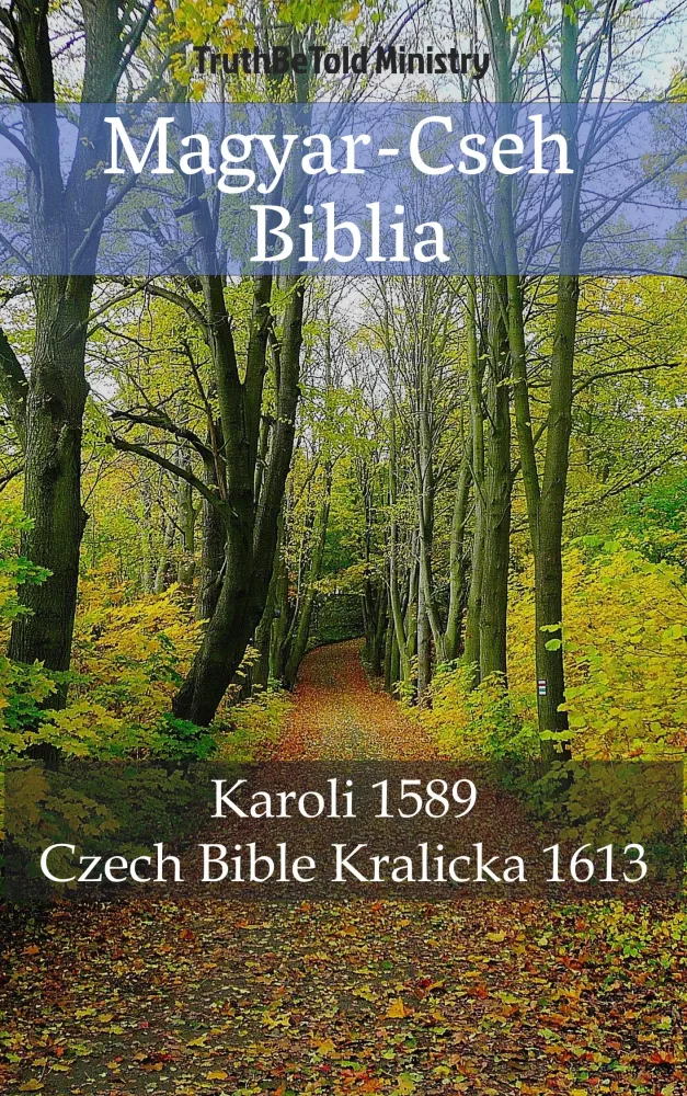 Magyar-Cseh Biblia borító