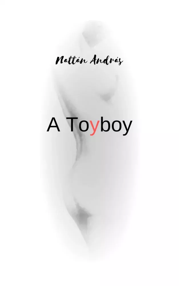A Toyboy