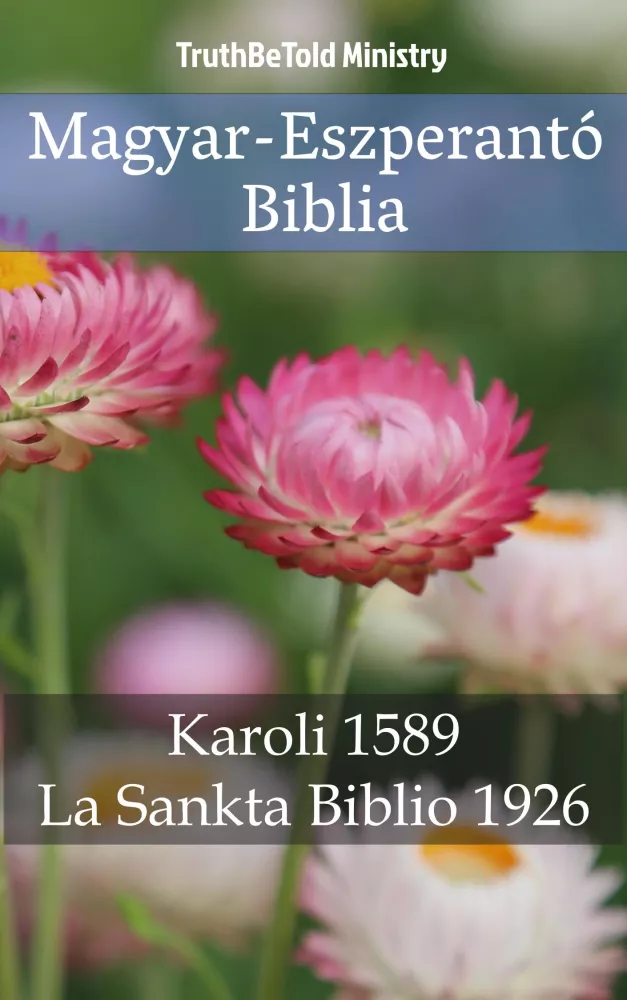 Magyar-Eszperantó Biblia borító