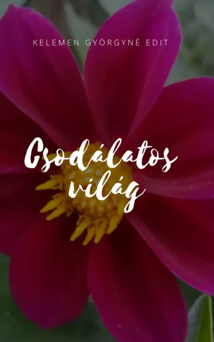 Csodálatos világ borító