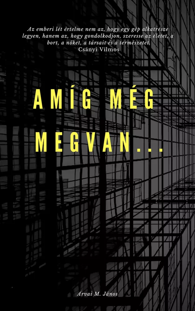 Amíg még megvan.. borító