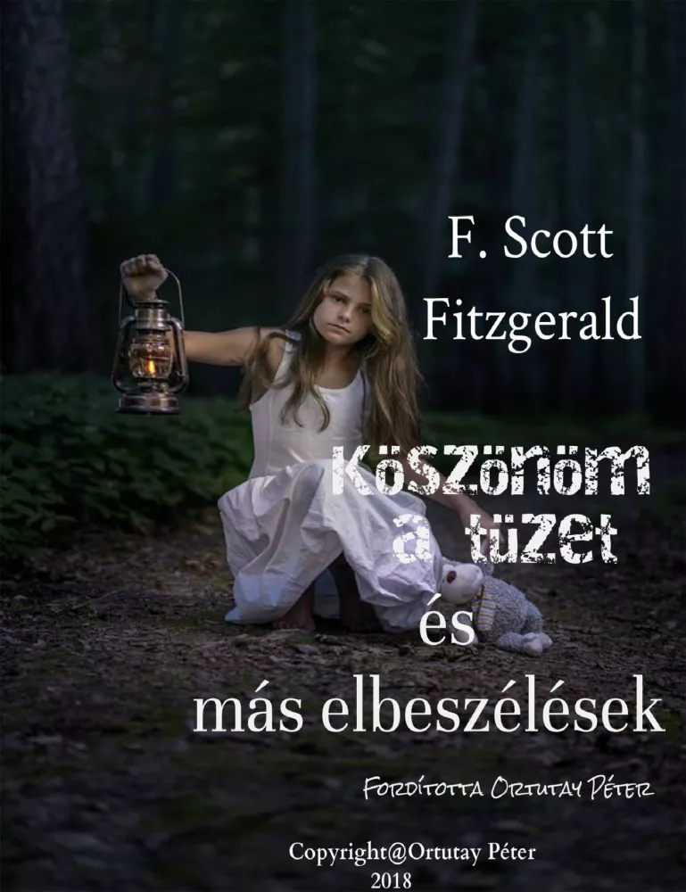 Köszönöm a tüzet és más elbeszélések borító