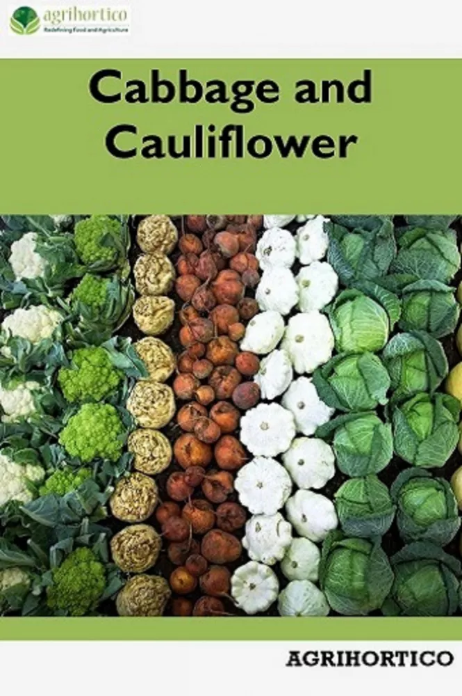 Cabbage and Cauliflower borító