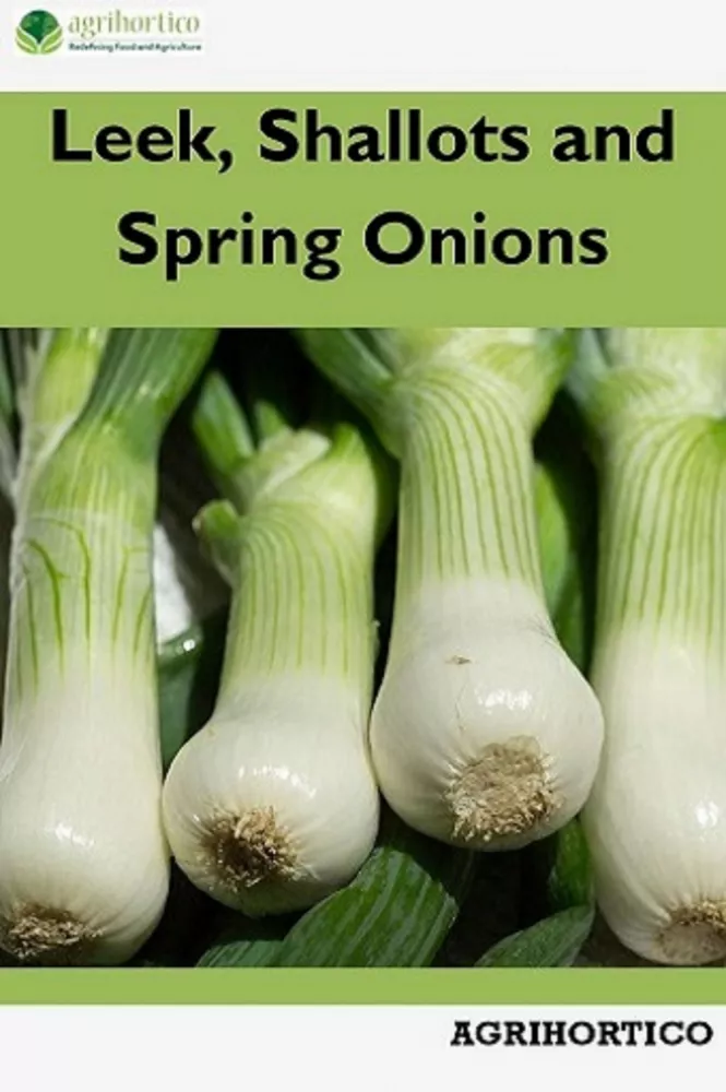 Leek, Shallots and Spring Onions borító