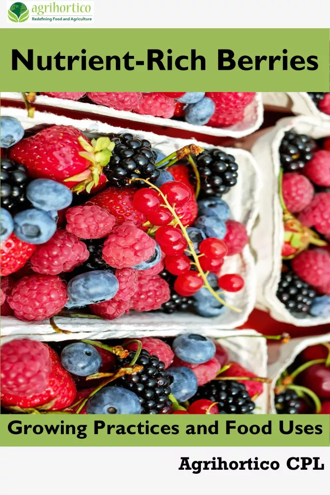 Nutrient-Rich Berries borító